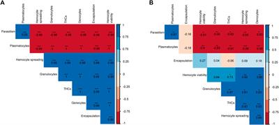 Differential immune responses in new and old fruit fly-parasitoid associations: Implications for their management